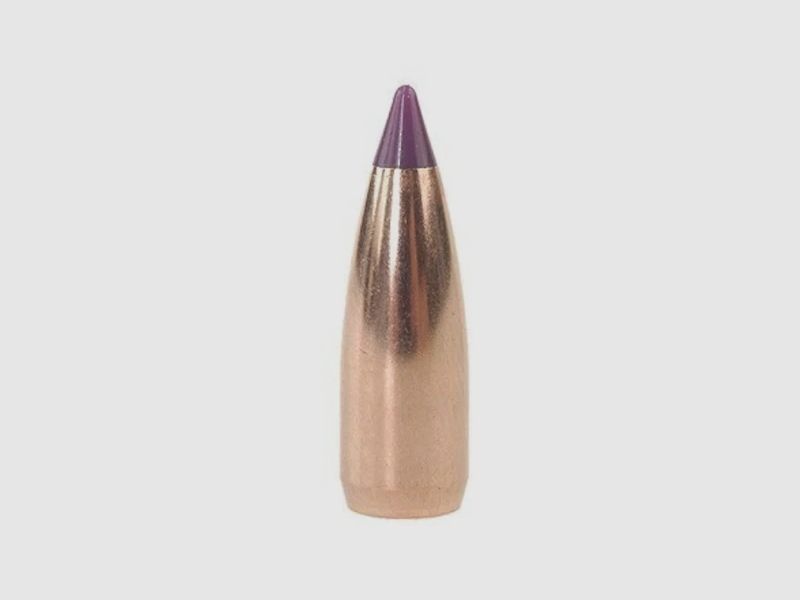 Proiettile Nosler Ballistic Tip Varmint 6mm/.243 55GR Spitzer 100 pezzi