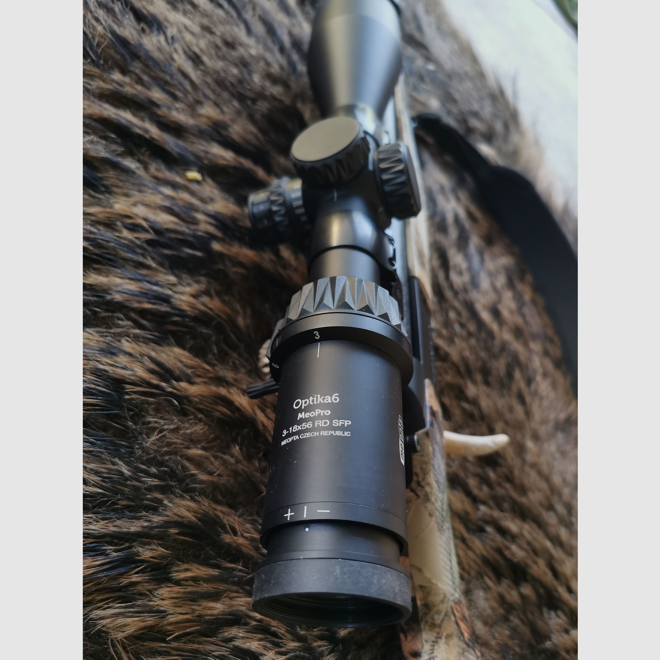 Bergara Ba13 in .243Win