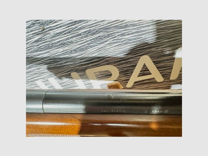 Heckler & Koch; Burris 3-12x56 LP SLB 2000 +