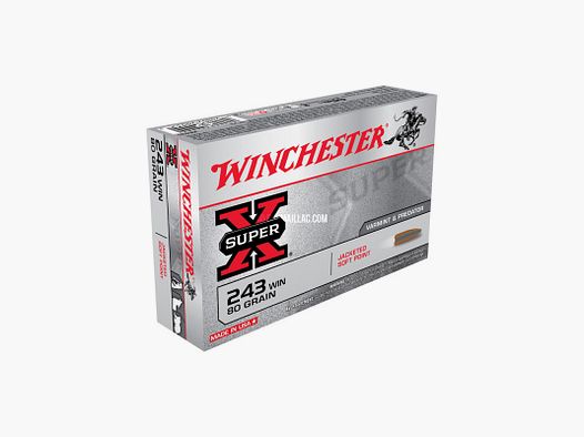 AMMUNITION CARTRIDGES WINCHESTER 243W POWER SOFT POINT CX2431