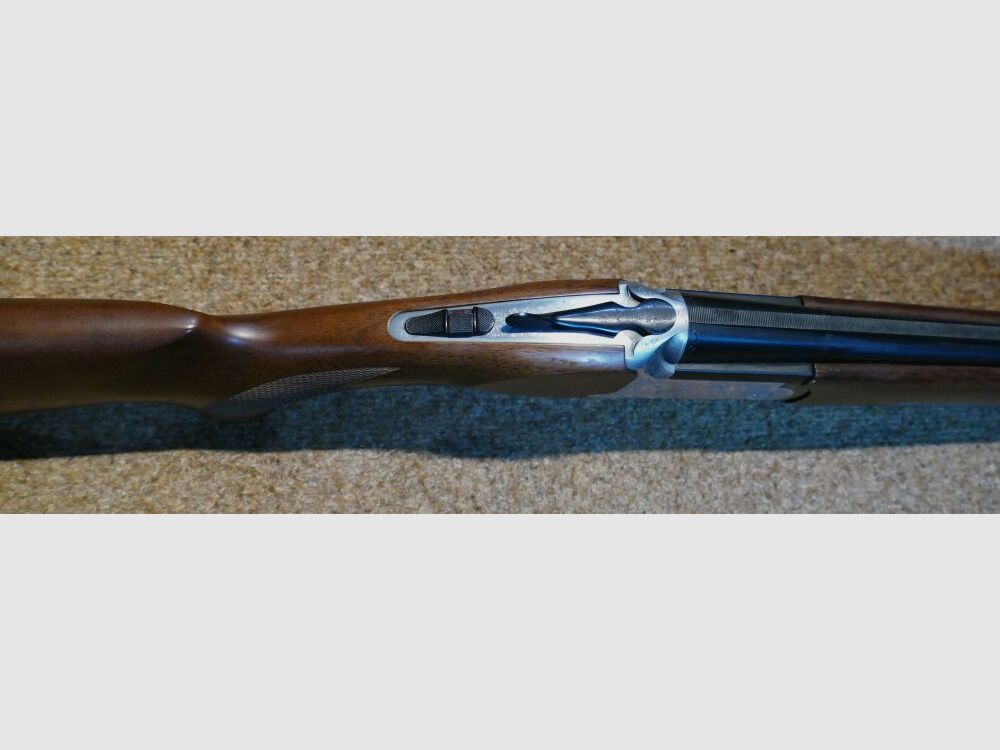 Rizzini Albion