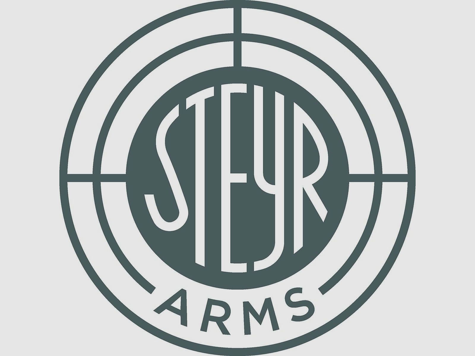 Steyr Modell SX