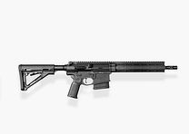 DAR-10 SSP (SHORT SPORT)
