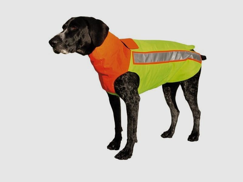 Gilet di protezione per cani Hubertus con inserto in Kevlar