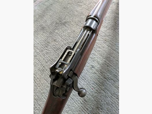 Remington P17