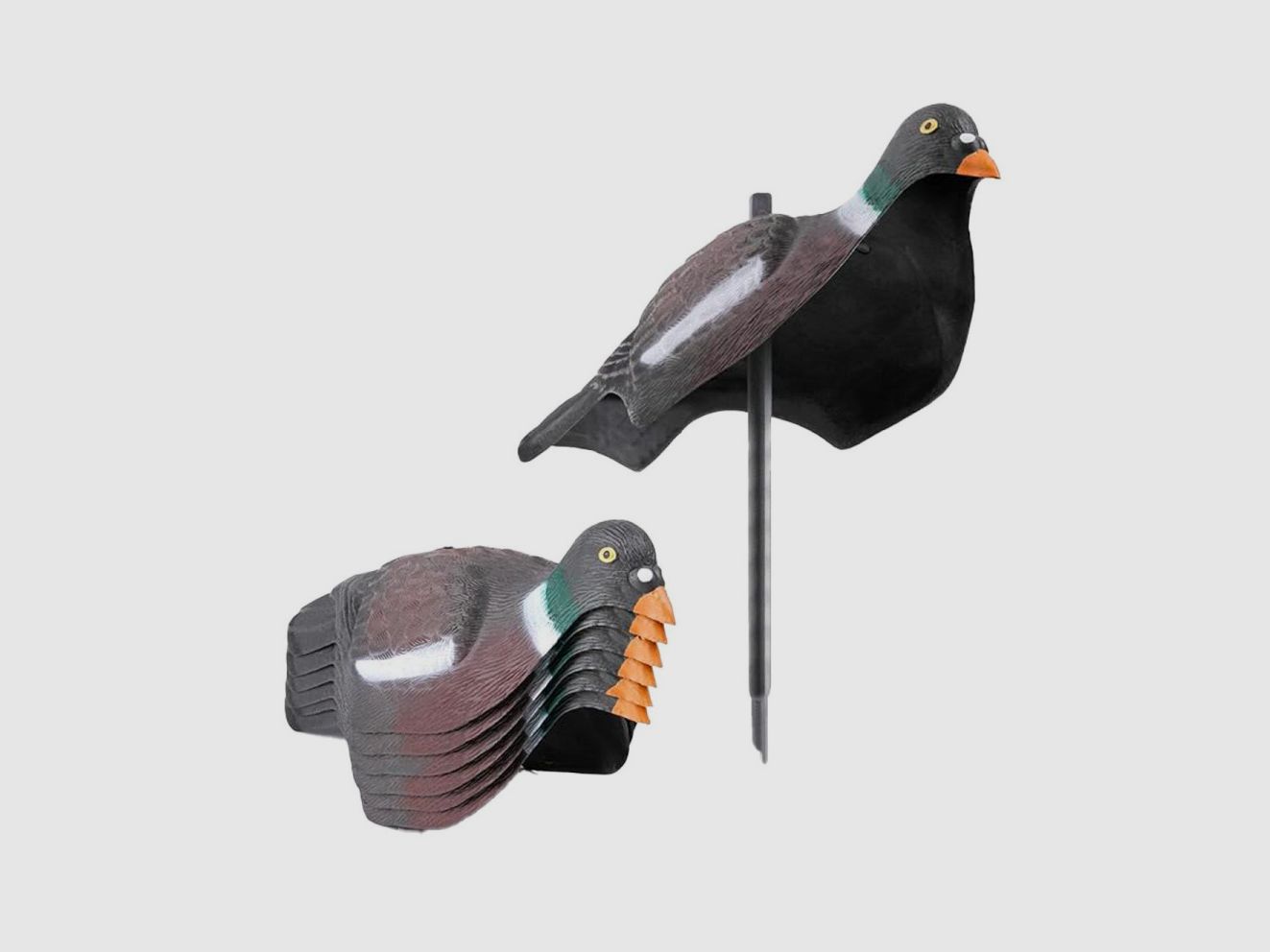 Forme von HD-Tauben Schalen x12