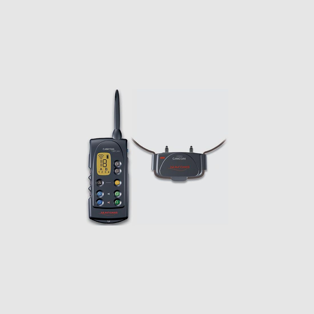 NUM'AXES OPLEIDINGSHALS BAND 1500m CANICOM 1500 PRO