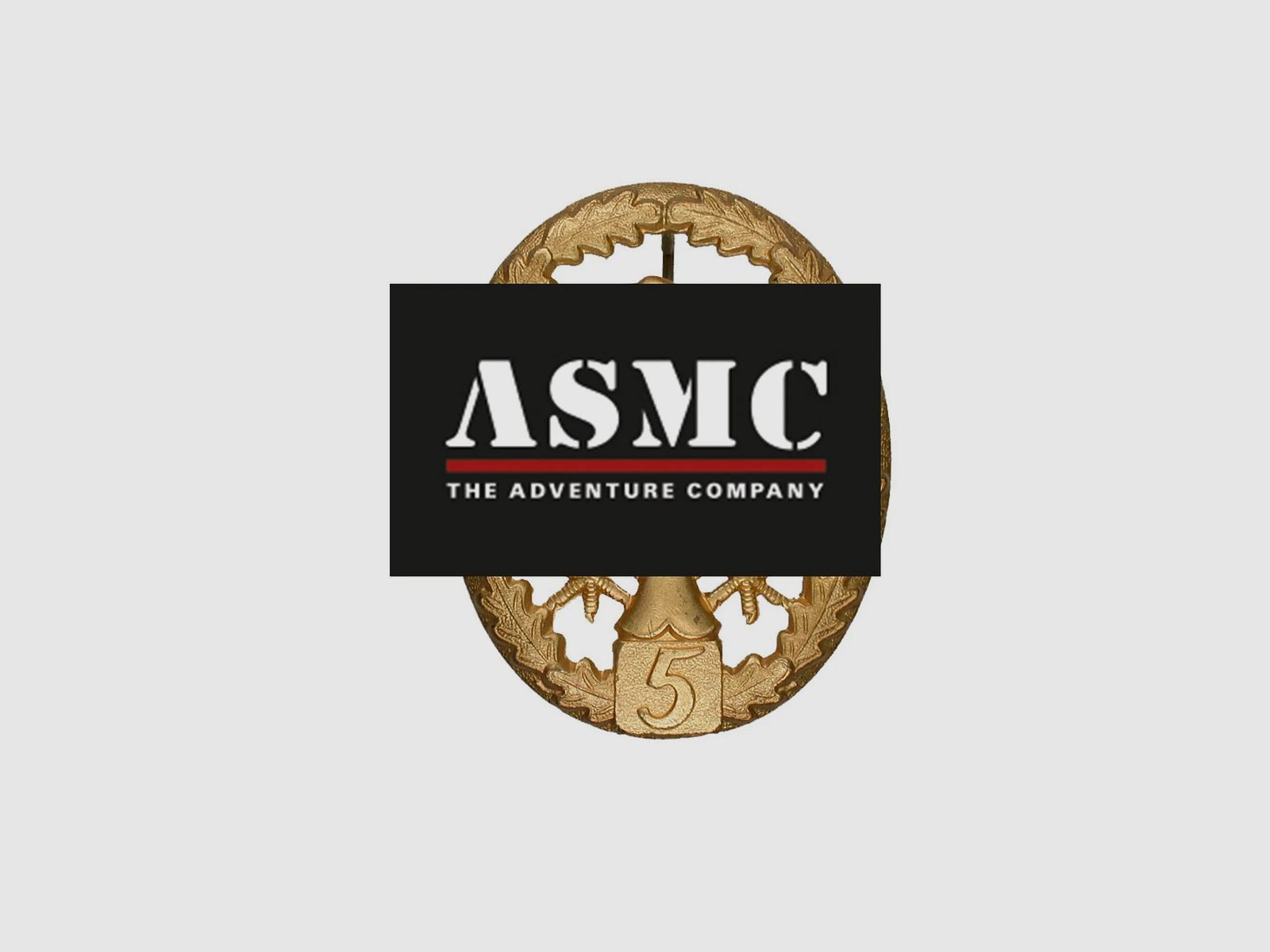 Fritzsch Leistungsabzeichen Zahl 5 Metall goldfarben