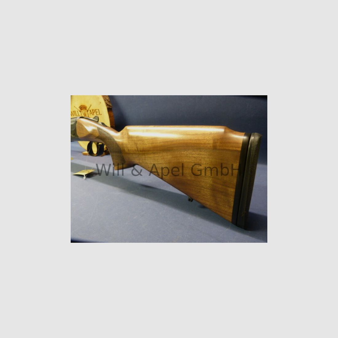 Akkar Churchill Lady Black