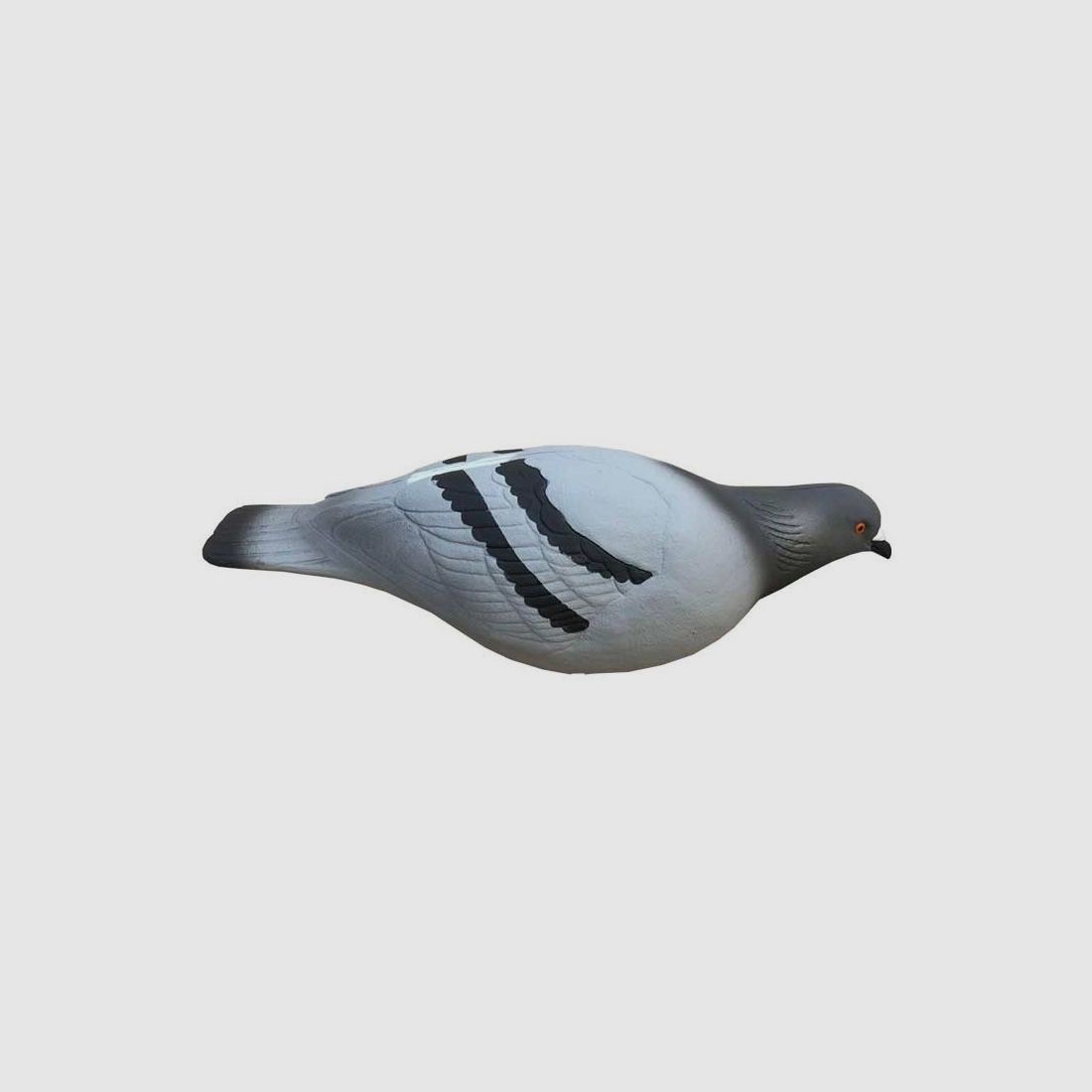 Forms of Pigeon Biset HD x12, image 3 of 3