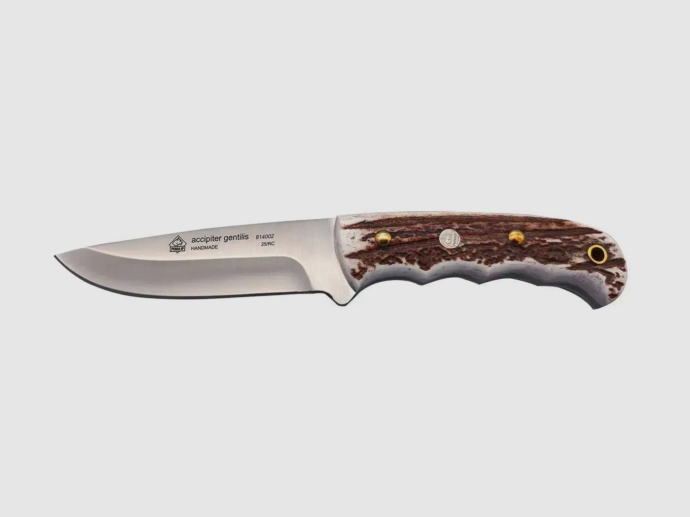 PUMA IP accipiter gentilis