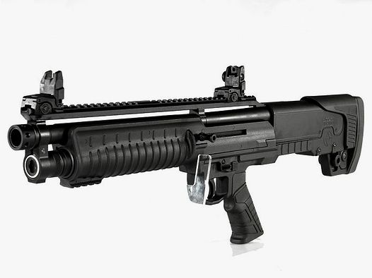 ESCORT Bull Tac SA PX with Picatinny rail