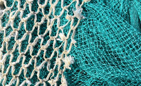 Gaff - Das unverzichtbare Werkzeug für den Angler