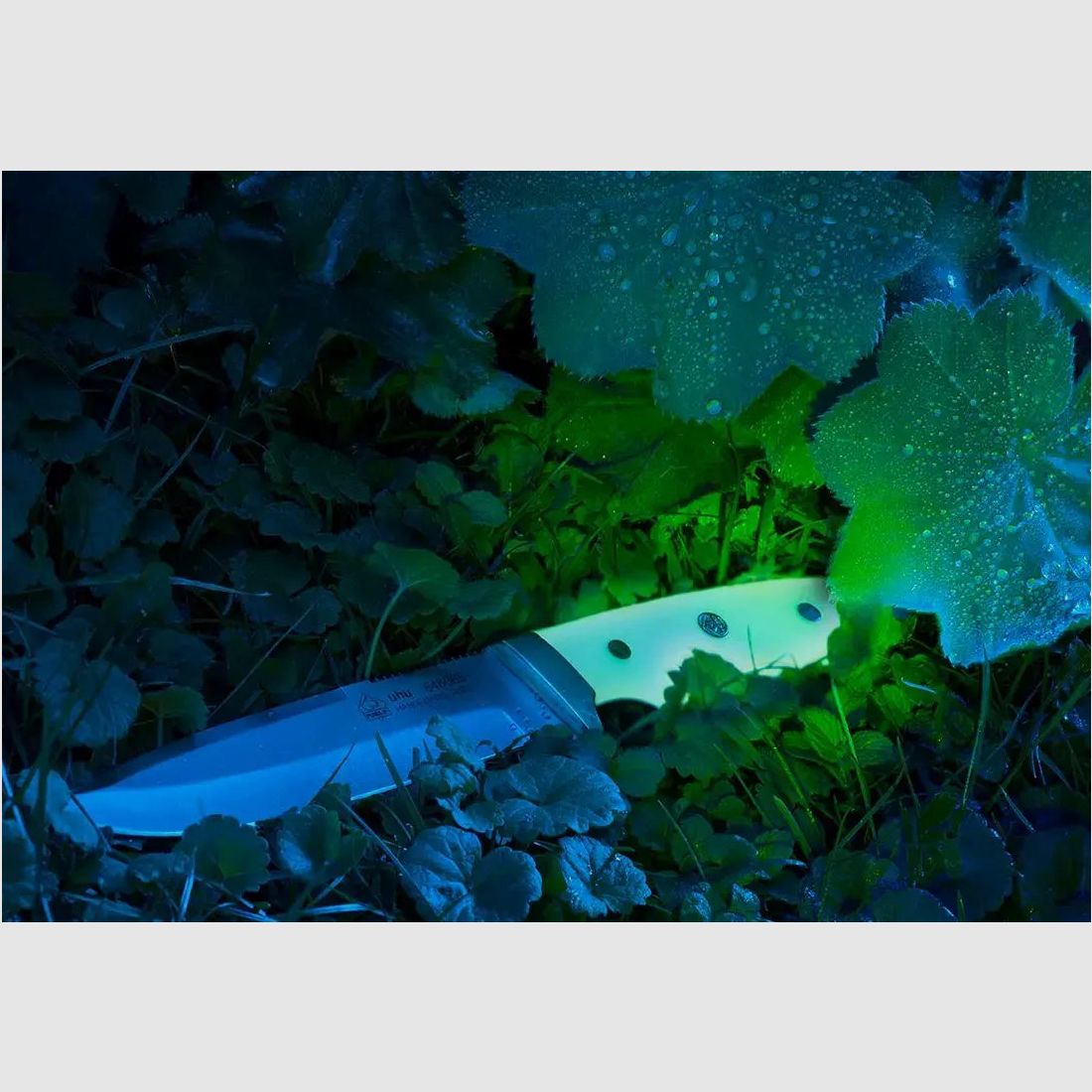 PUMA IP Uhu, fluorescent