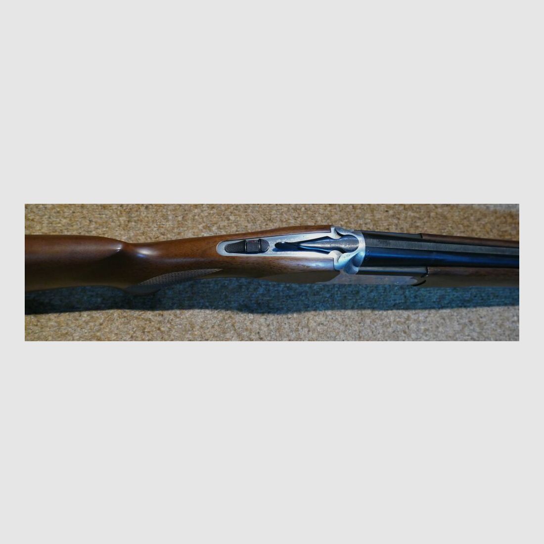 Rizzini Albion