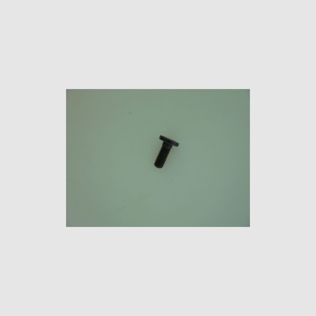 TORNILLO DE EMPUÑADURA SIG-SAUER MOSQUITO, imagen 1 de 4