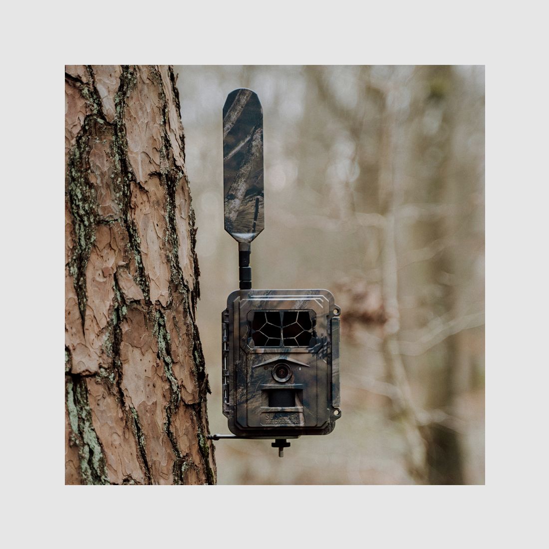 SEISSIGER Pro-Cam LTE - SUPERSIM-Edition