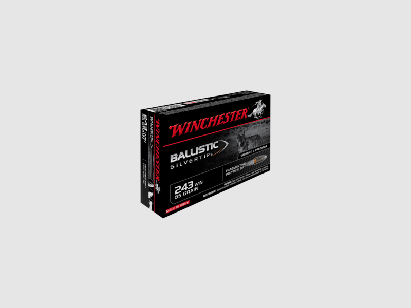 WINCHESTER .243 Win. Ballistic Silvertip 3.56g/55gr