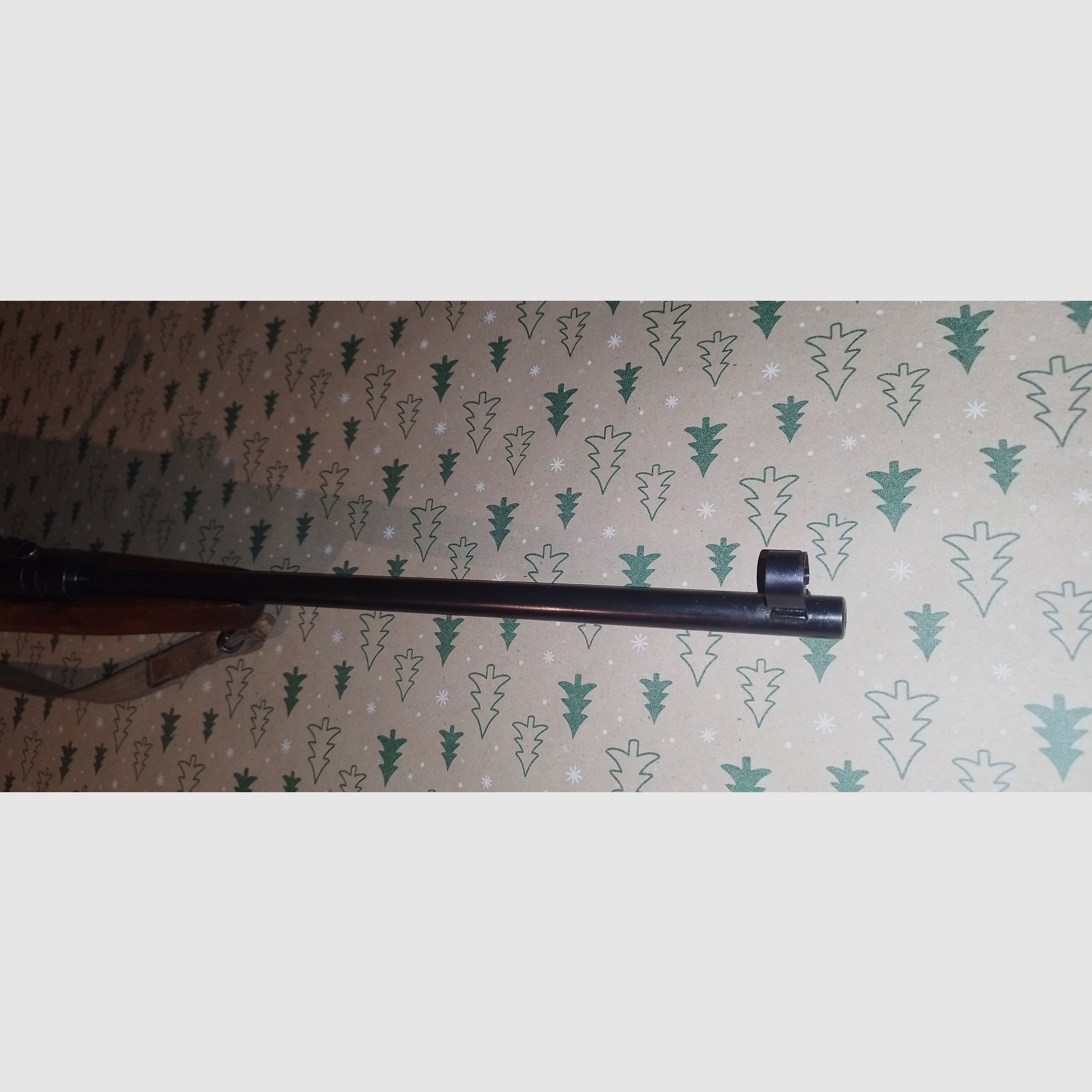 Wunderschöne Haenel 310 top Zustand