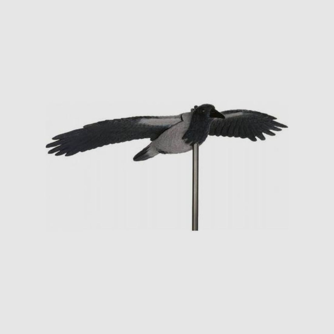 SPORTPLAST MOLDES CUERVO VUELO