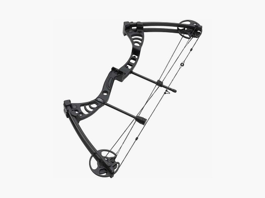 Haller compound bow Aurora 55 lbs