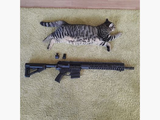 Like new - Sig Sauer 716 G2 Patrol with Geissele trigger and Magpul STR stock