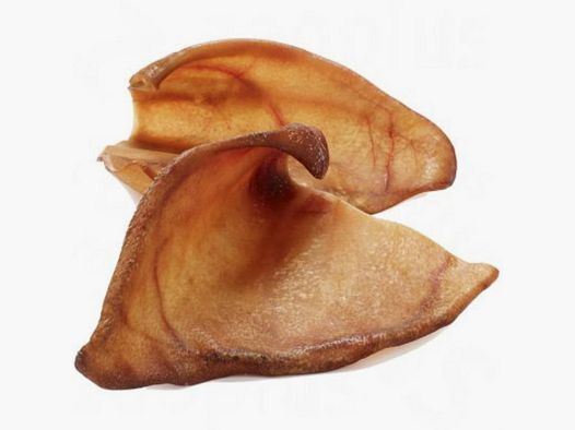 Pig's ear