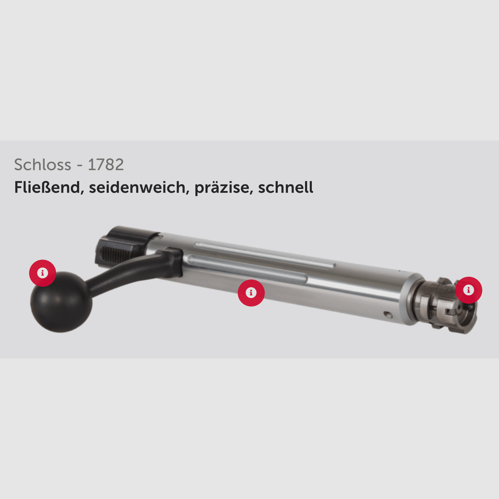 J.G. Anschütz 1782 D G-15x1 Lochschaft Kaliber .243 Win. 580 mm Repetierbüchse