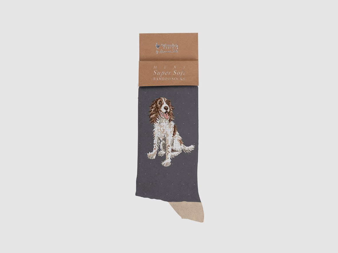Wrendale Herren - Socken "Willow" mit Spaniel