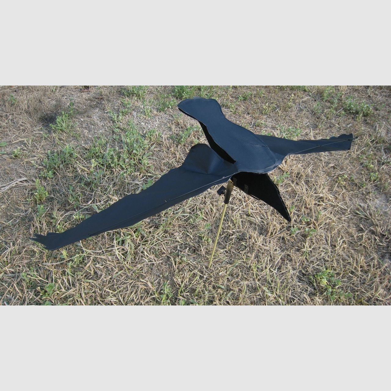 Sillosocks Crow Corvo Hypaflap, immagine 1 di 4