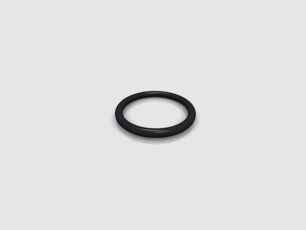 BSA Pelletsonden-O-Ring 5,5 mm