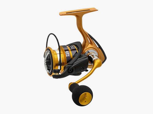 Daiwa AIRD 23 LT 5000 CH Angelrolle