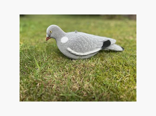 LOCKTAUBE Vollkörper CLASSIC beflockt