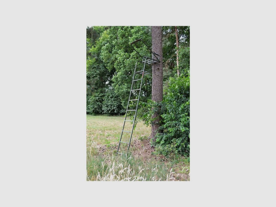 Farm-Land Ansitzleiter 710, Bild 3 von 6