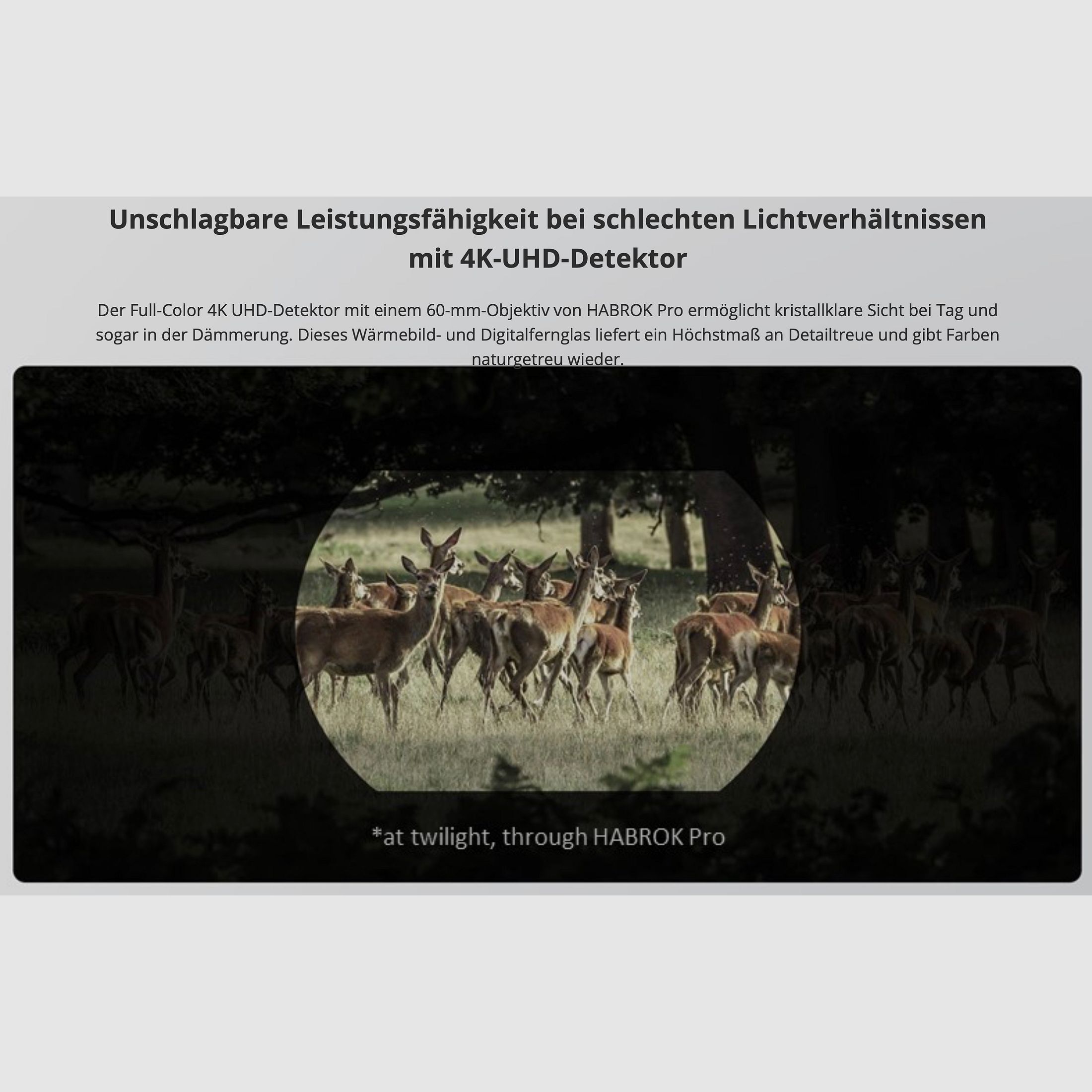 Hikmicro Binocular Habrok Pro HQ50LN Thermal Imaging Night Vision Digital Camera 1920 × 1080 OLED