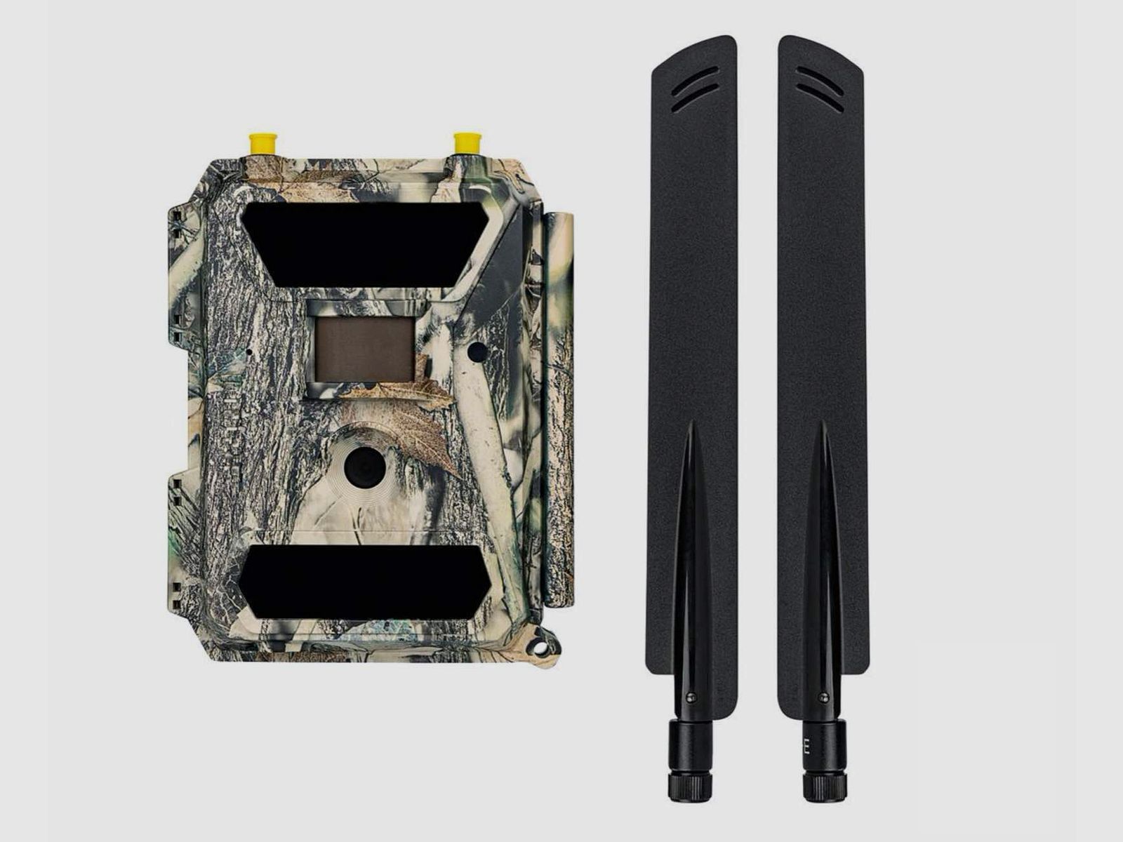 Dörr 204440 Wild und Überwachungskamera SnapShot Cloud 4G