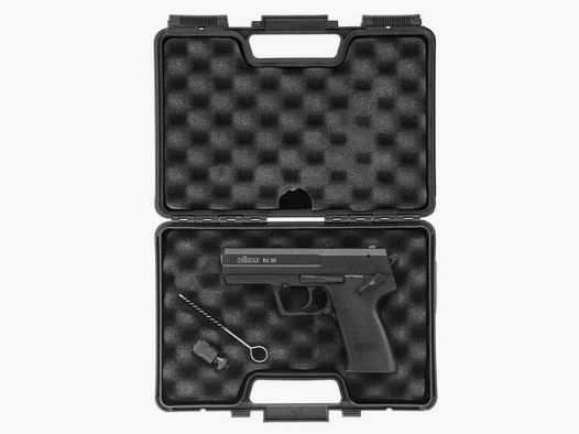 Röhm RG 96 ( PTB 699)