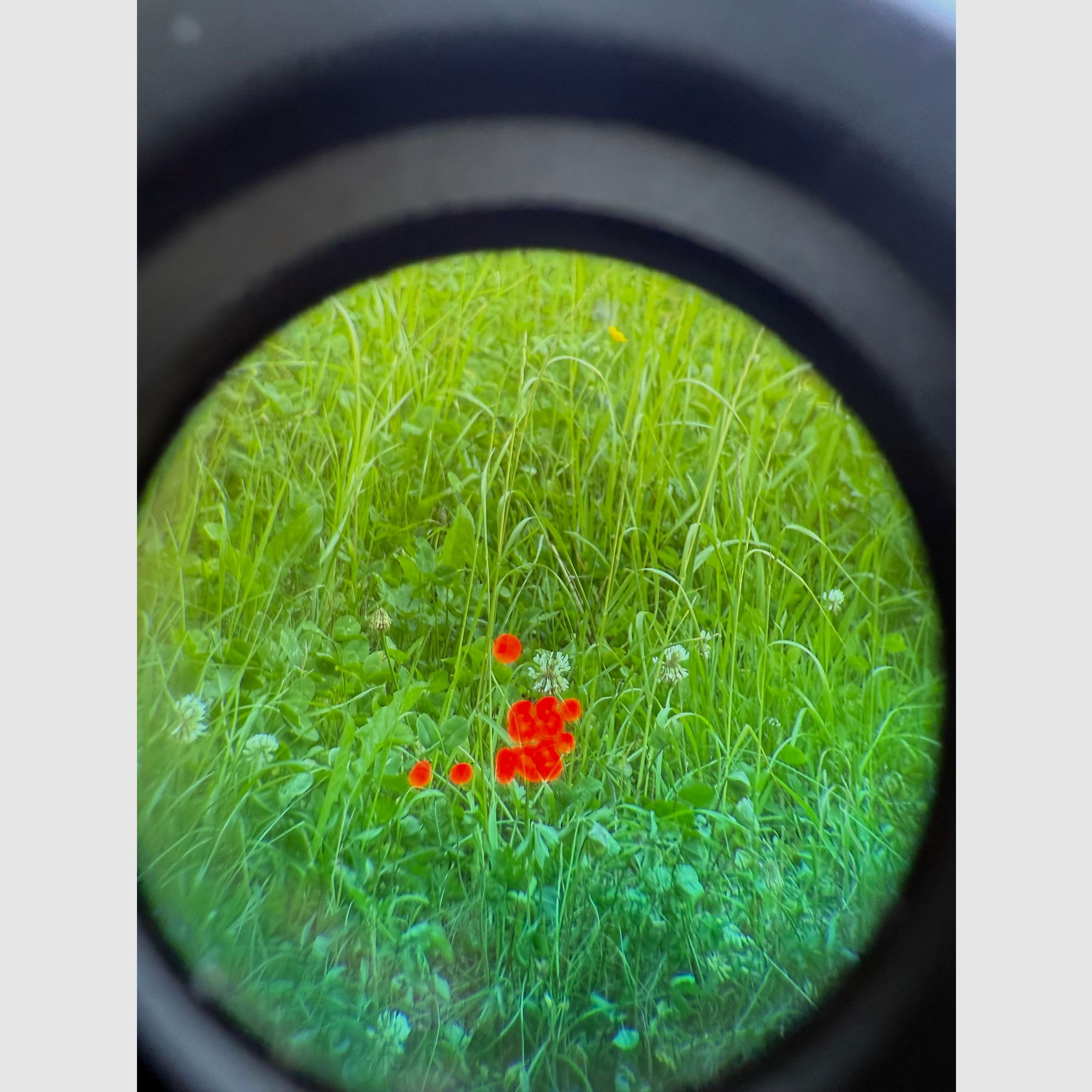 DDOPTICS Pirschler Ranger 10x45 Laserentfernungsmesser 