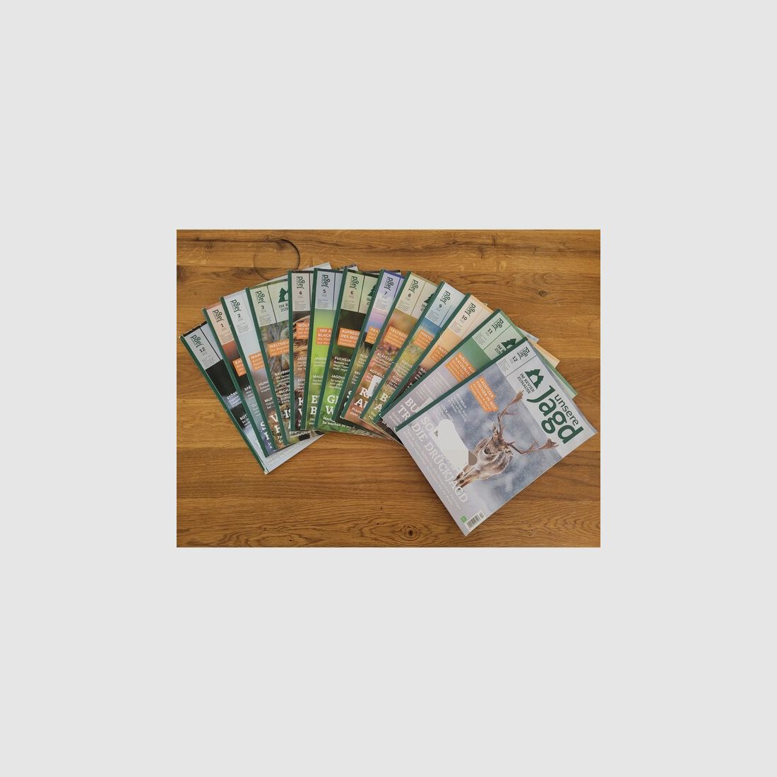 12 x Unsere Jagd Zeitschriften 12/23 - 12/24