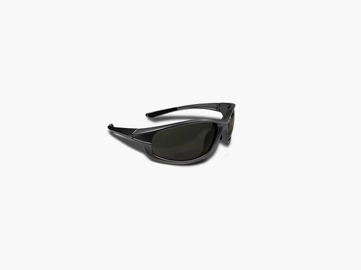 Polarized Glasses Shilba