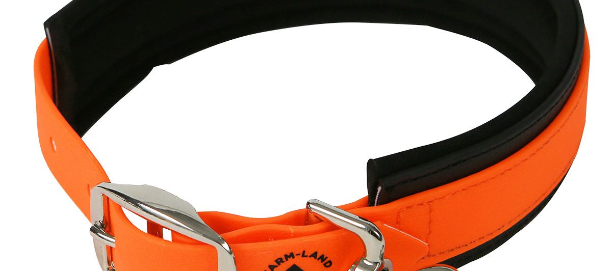 The Right Tracking Collar for Hunting Dogs