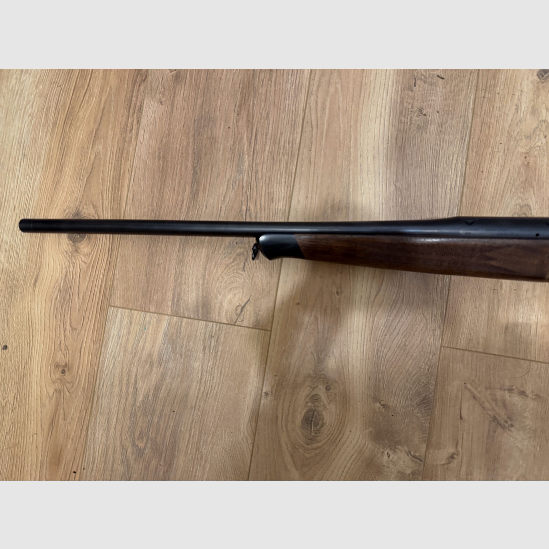 Blaser R8 Standard mit Holzschaft 8x57 IS Mündungsgewinde M15x1