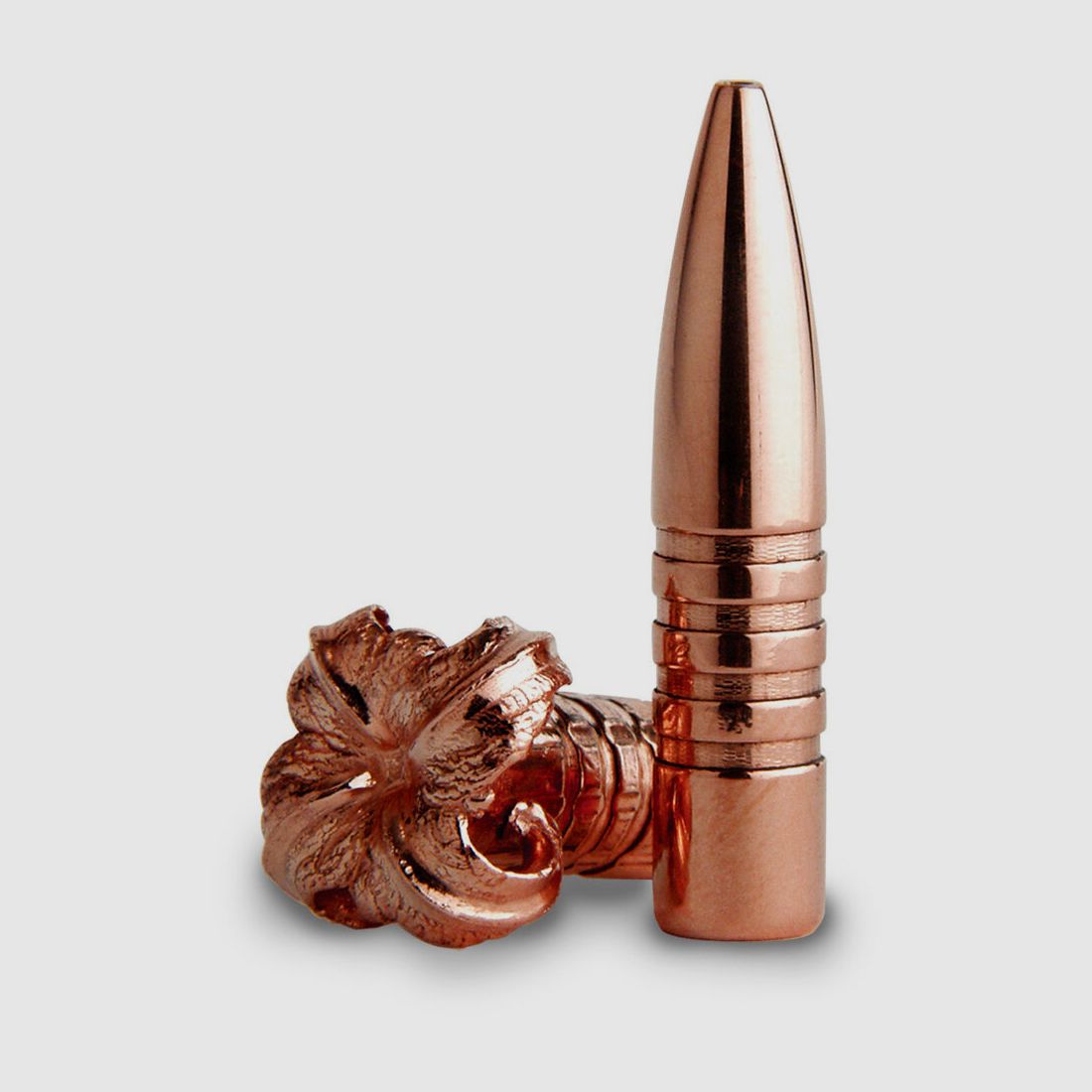 Barnes Vor-TX TSX 55gr - 20 pezzi