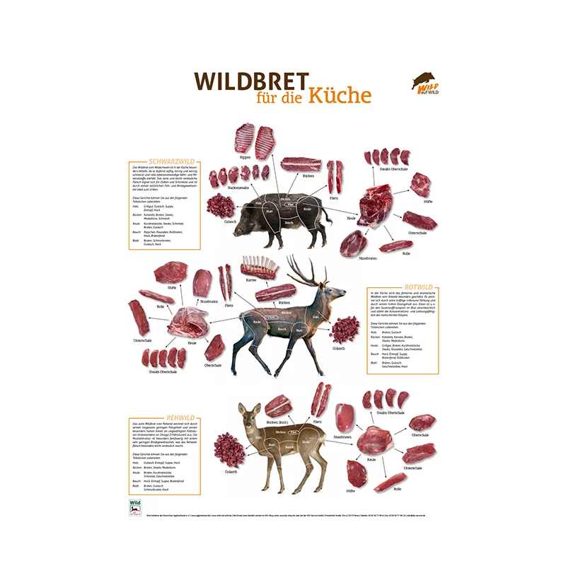 Wildbret-Poster Hoch- und Rehwild
