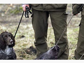 Härkila Pro Hunter Trousers
