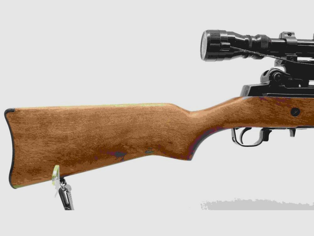 Ruger Mini 14