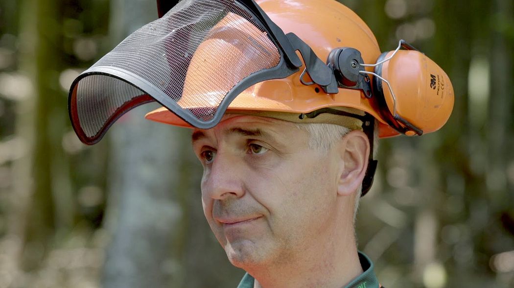 Motorsäge schärfen im Wald | Waldschärfung - Tutorial der Bayerischen Staatsforsten