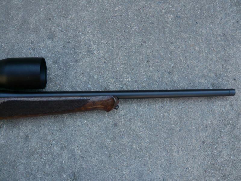 Sauer 101