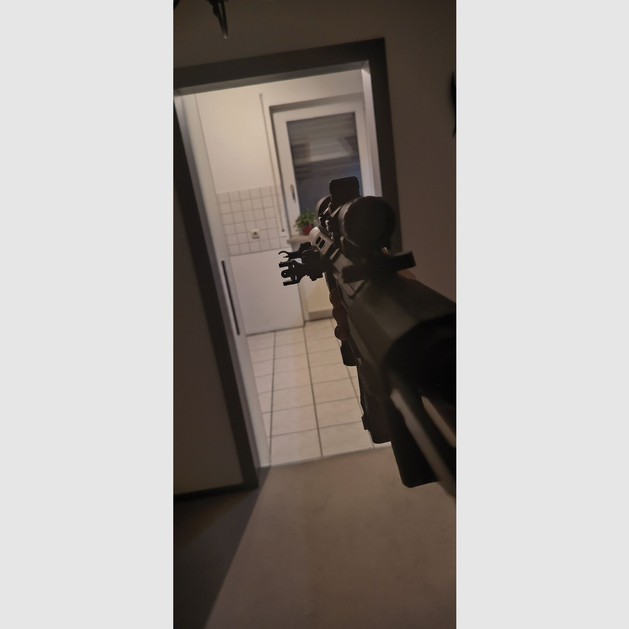 M4 Amoeba EFCS