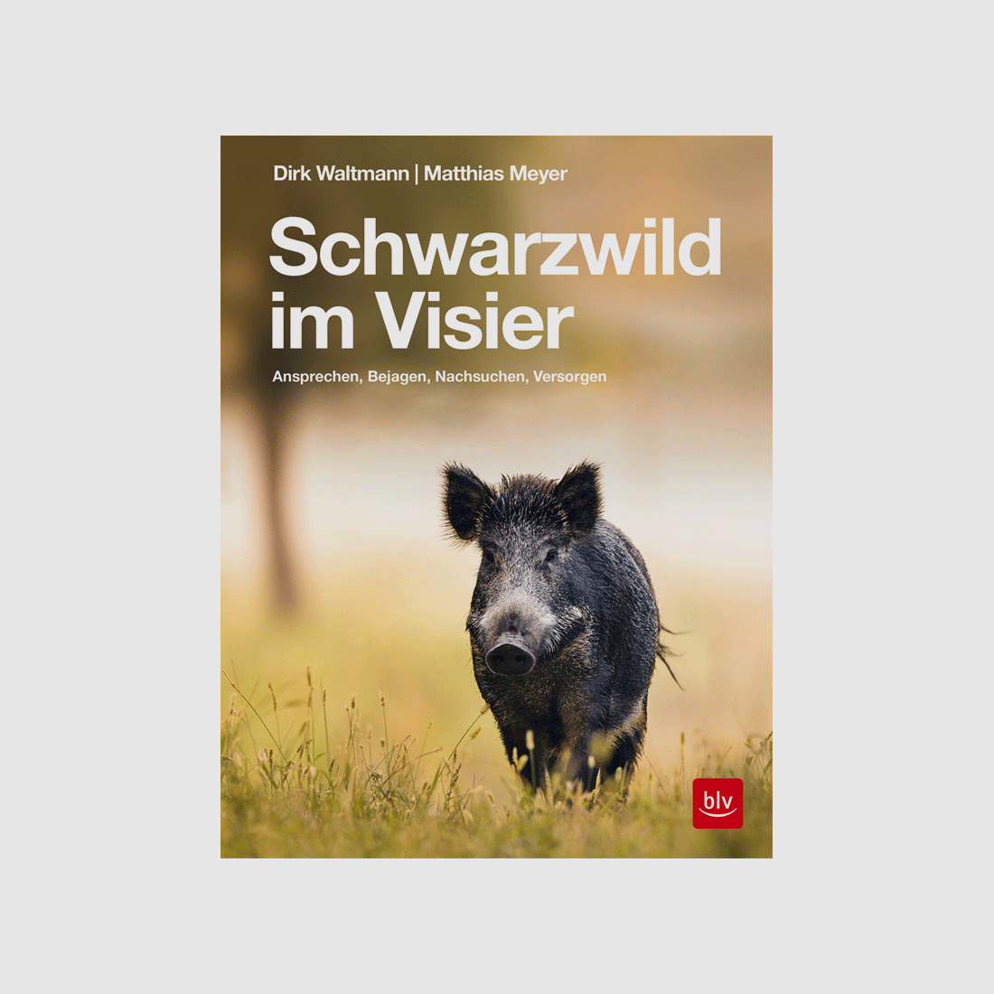 Buch "Schwarzwild im Visier"